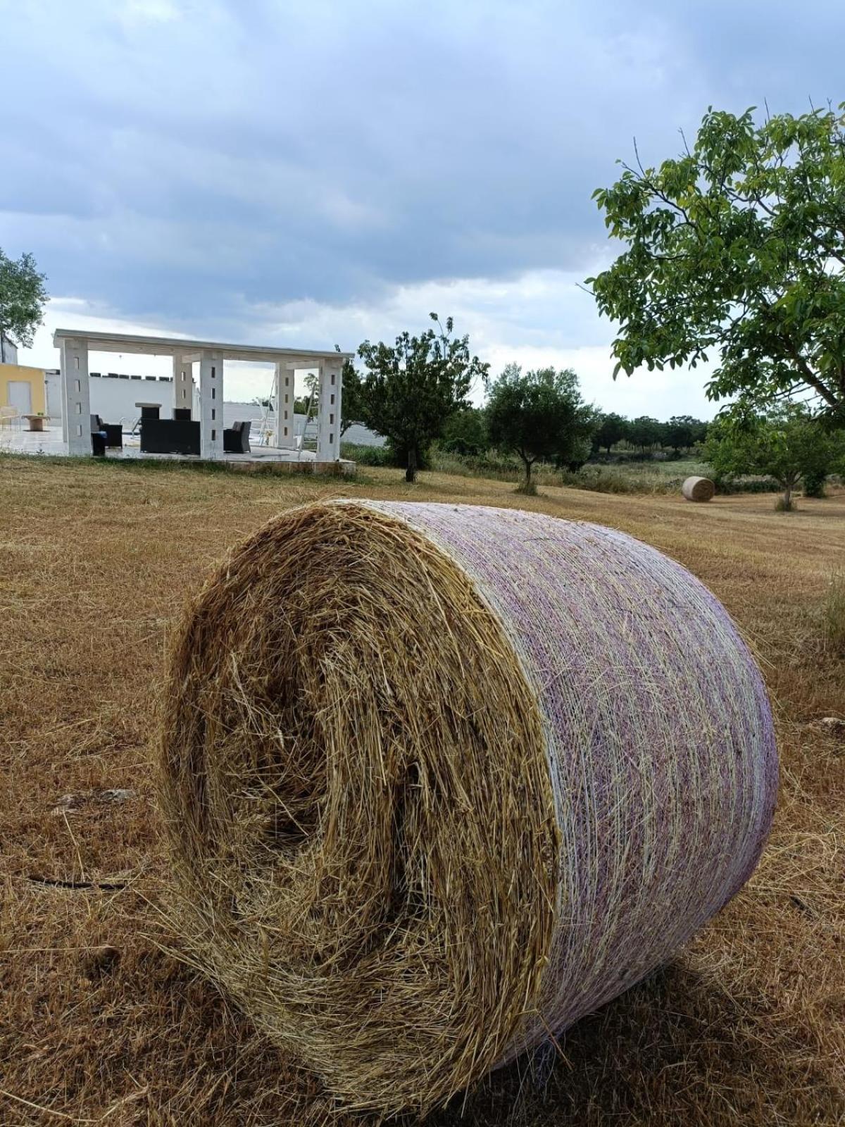 Casa Loredana Putignano Exteriér fotografie